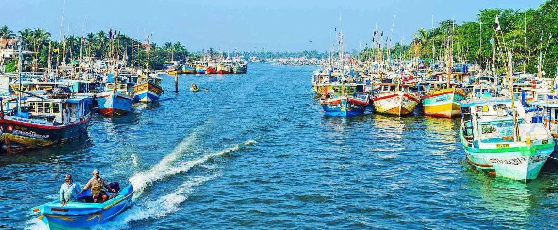 Negombo - Image 2